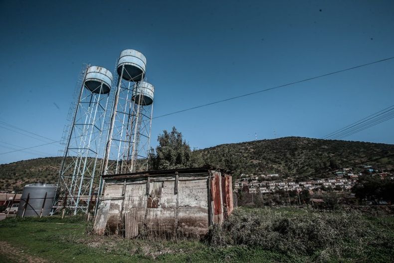 El MELON 50 e1706717583354.jpg