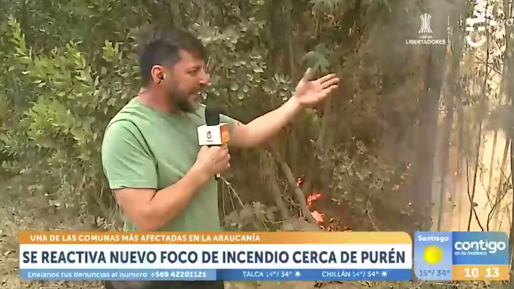 VIDEO| Rafa Cavada constata en vivo cómo eucalipto se quema más rápido que flora nativa