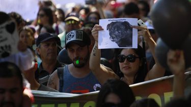 Justicia para Cholito: Las imágenes que dejó la marcha contra el maltrato animal