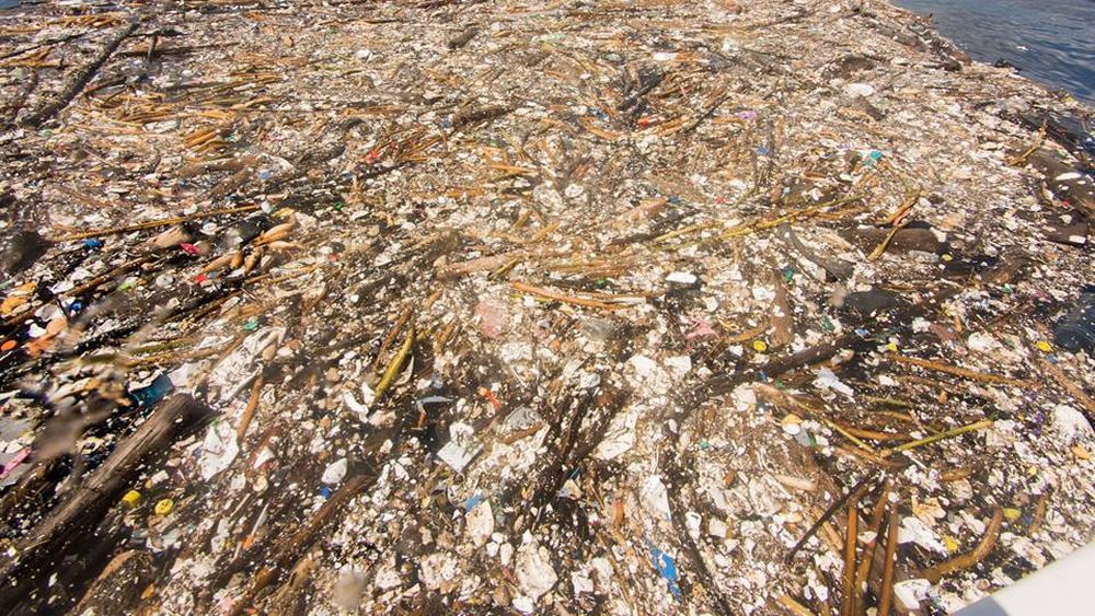 El mar de plástico que escandaliza al mundo