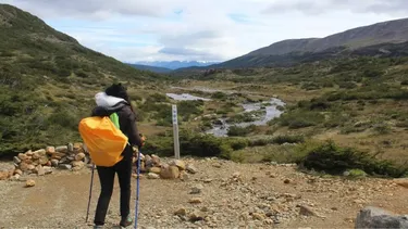 Salir de la zona de confort al territorio: Tres profesionales relatan cómo vivir en comunidades rurales transformó sus vidas