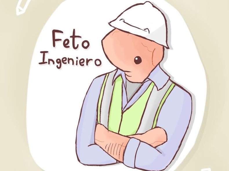 feto ingeniero e1524144510980.jpg