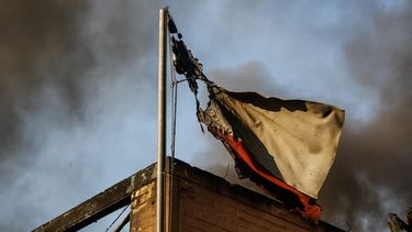 Incendios en Valparaíso: Senapred advierte que al mediodía podrían reactivarse