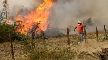 Bachelet confirma 43 detenidos en 36 incendios: Estamos seguros de que sí ha habido intencionalidad