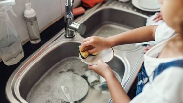 Un emprendimiento que instaló 96 biofiltros y un humedal fitodepurador en Puerto Varas integran las soluciones para tratar aguas grises en el país.