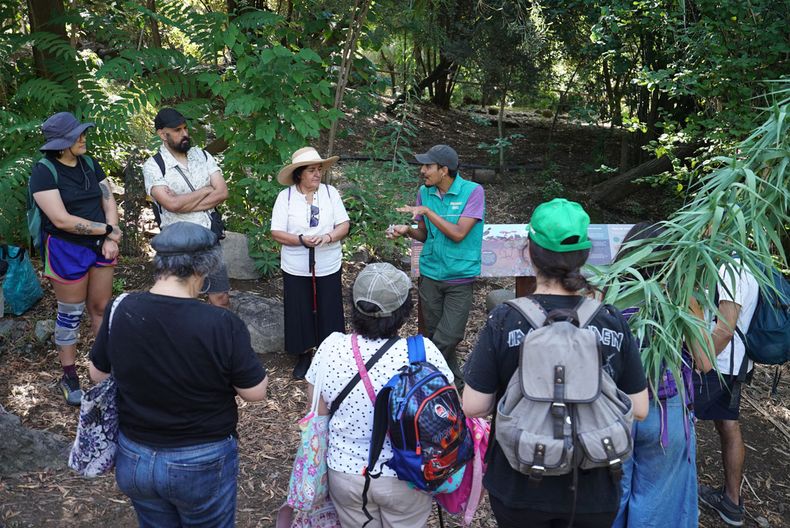 Visitantes recorren senderos naturales del Bosque Santiago - Imagen cedida