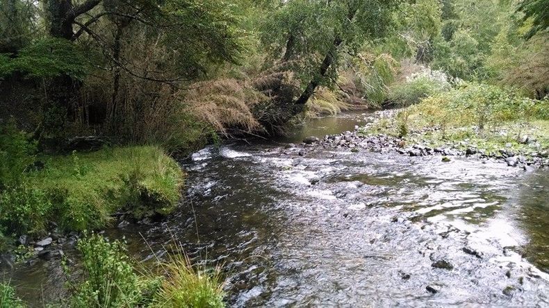 Rio Llancalil.jpg
