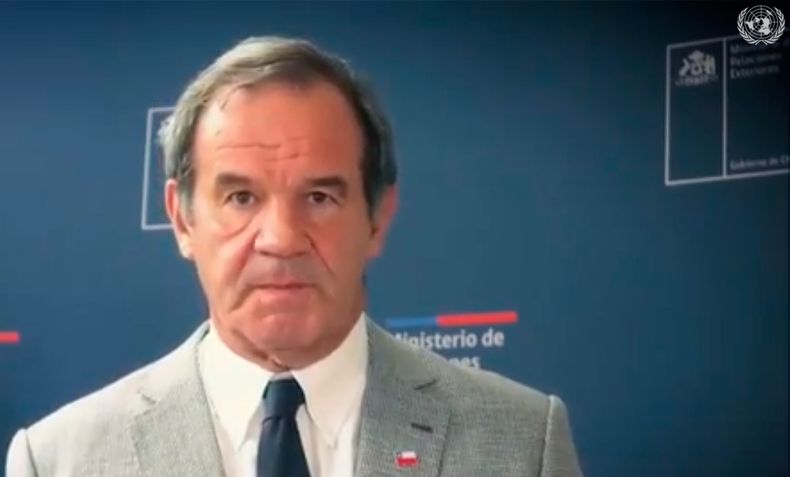 Allamand.jpg