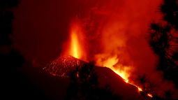 Lava del volcán de La Palma cubre una superficie de casi 1.000 hectáreas