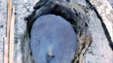 Pueblo chinchorro ya trabajaba en minería hace 7.000 años con alta contaminación de manganeso