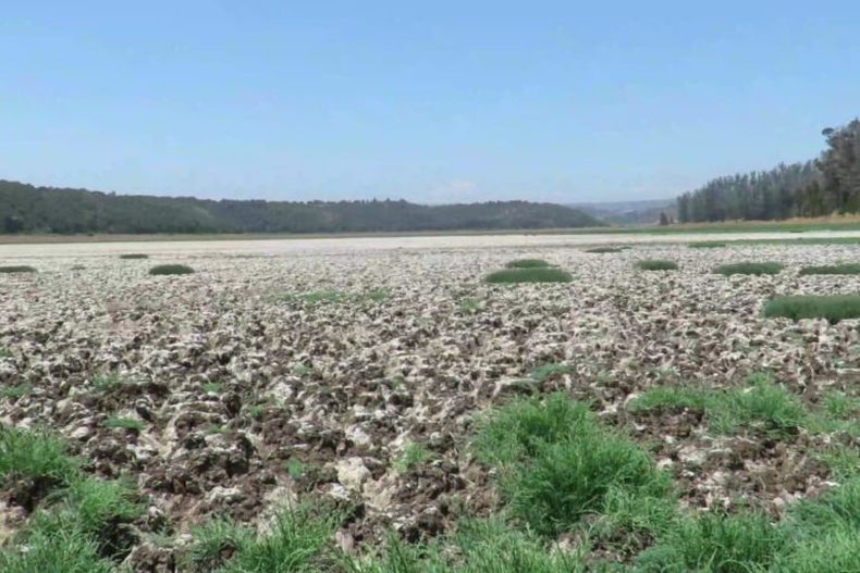Laguna manzanas en 2020.jpeg