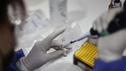 Viruela del Mono vuelve a poner en alerta a la OMS: Cepa mortal “se escapa” del Congo y temen nueva pandemia