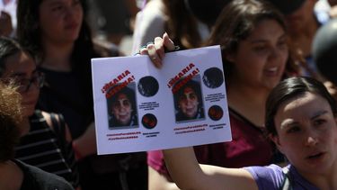 Senado aprueba por unanimidad la Ley Cholito de tenencia responsable de mascotas