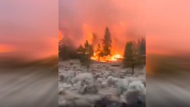 Incendios forestales no dan tregua en Norteamérica: Miles de evacuados por llamas sin control