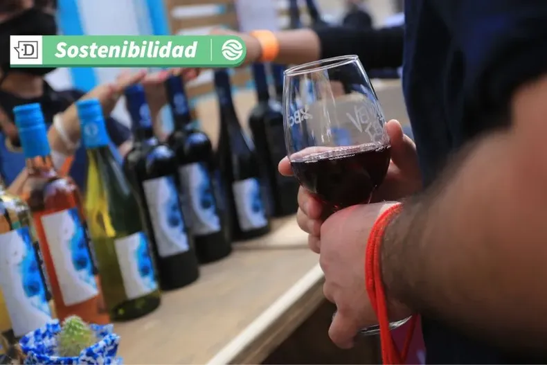 12072 vinocalcuuu.webp