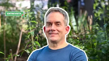 Bosques Miyawaki o “de bolsillo” en Santiago: “La inversión masiva ya se hizo, pero no se ha exigido ningún tipo de monitoreo”