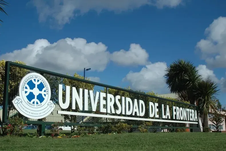 24508 multimedianormal8c3a3b3ab7be6256.webp