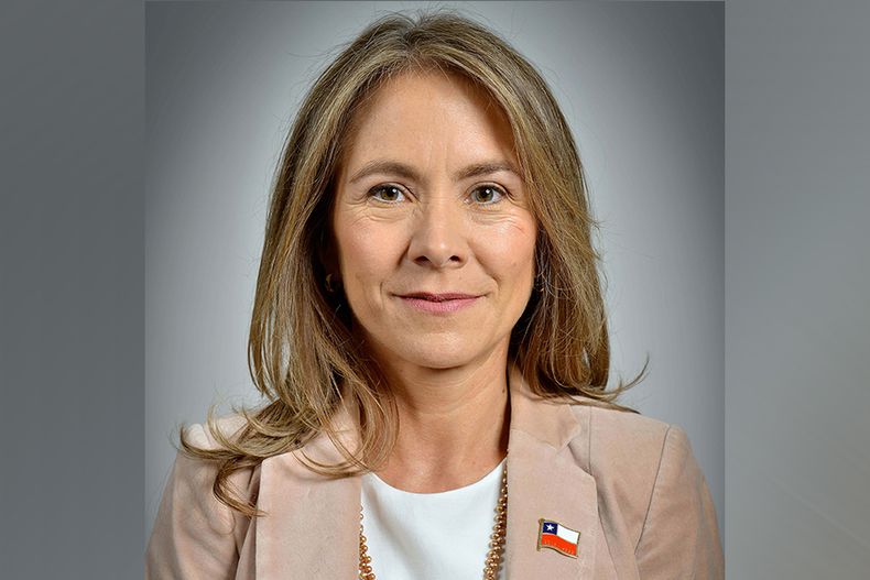 8906 susana jimenez.jpg