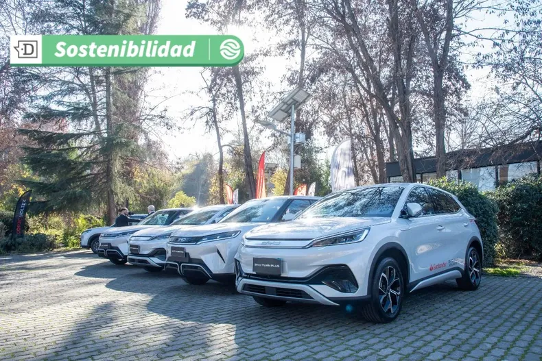 19271 diseno sin titulo 2025 07 17t124155.webp