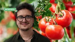 Biólogo experto aconseja: “Para que una planta modificada genéticamente llegue al consumo debe pasar muchas pruebas”