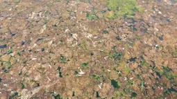 Mantienen concesión a sanitaria sancionada por contaminación en los molles: SISS le exige a la empresa medidas urgentes
