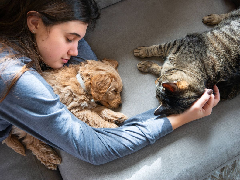 Tu mascota puede tener Influenza y no saberlo: más del 50% de perros y gatos en Chile dio positivo al virus.&nbsp;