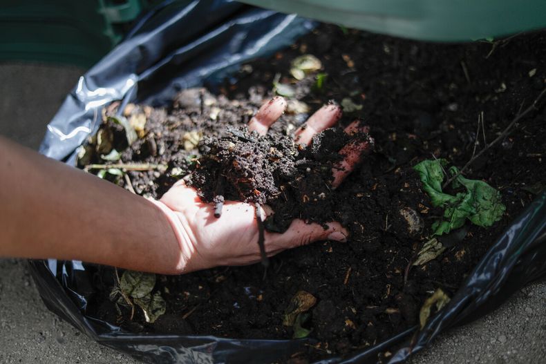 Compstaje como reciclaje para disminuir la basura - Agencia Uno