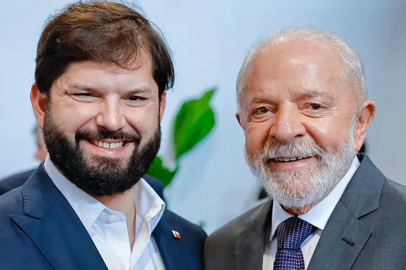 19396 boriclula.webp