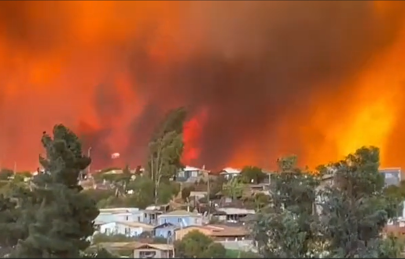 Limache incendio forestal.jpg.png