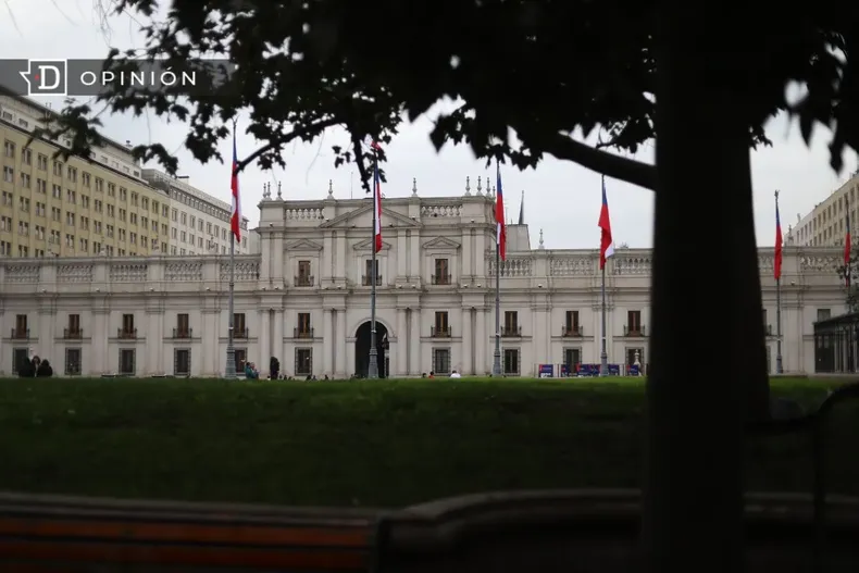 12681 la moneda vista tras de un arbol en la plaza de la constituc.webp