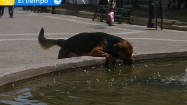 Aviso Meteorológico para la zona central: Hasta 35°C se esperan en Santiago para este jueves