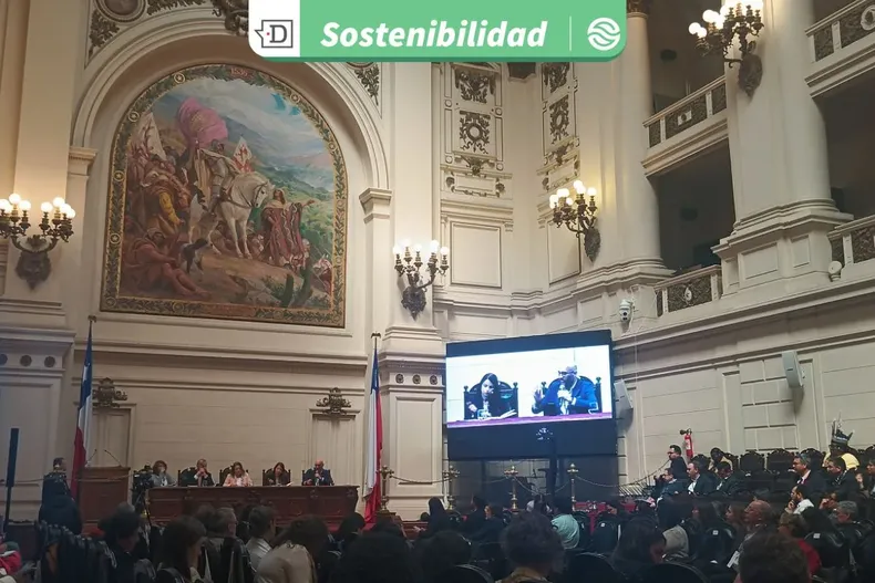 23412 diseno sin titulo 2025 09 30t172436.webp