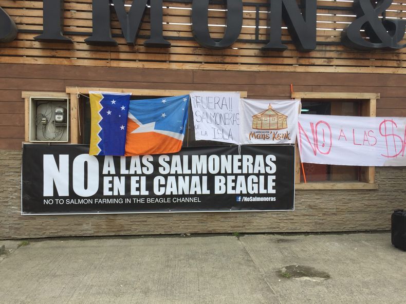 salmones scaled.jpg