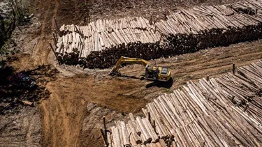 El Desconcierto | 18055 diseno sin titulo 2025 06 25t152703.webp