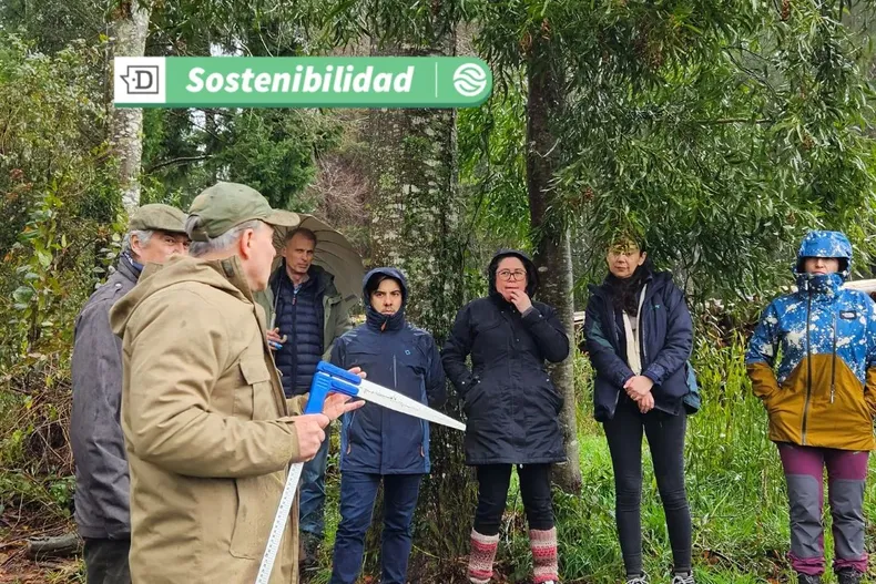 20253 diseno sin titulo 60.webp