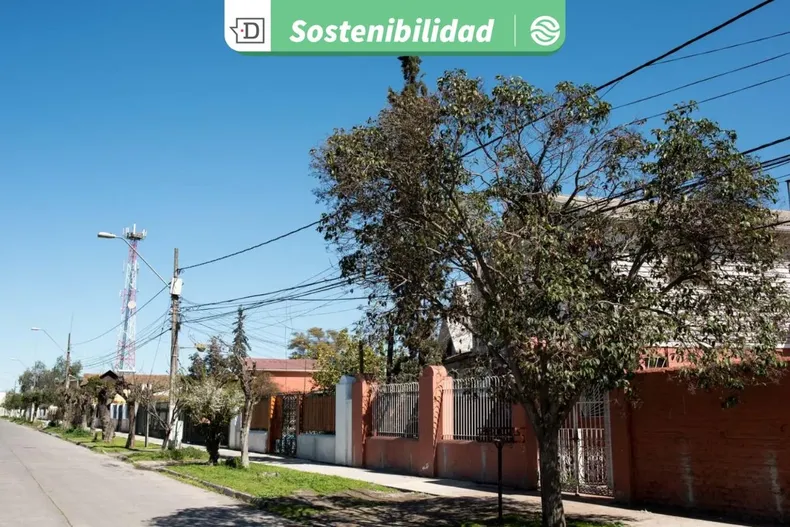 28304 diseno sin titulo 2026 01 05t120647.webp