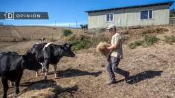Conectividad rural: ¿Vamos a seguir mirando para otro lado?