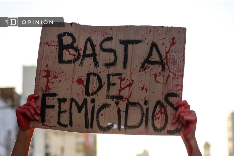 16333 cartel de una marcha que dice basta de femicidios.webp