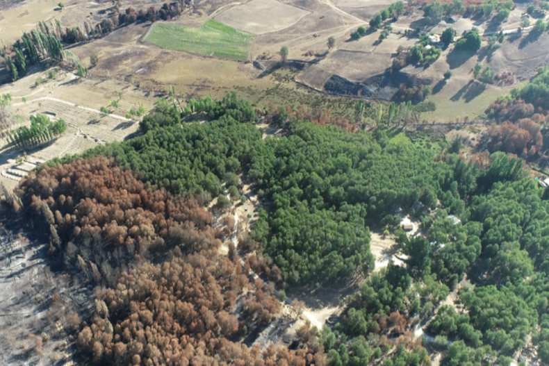Toma aerea del predio en verde el bosque ileso. .png