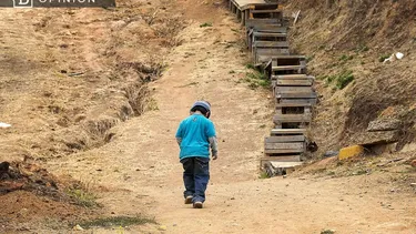 El Desconcierto | 25485 un nino caminando solo en una zona rural.webp