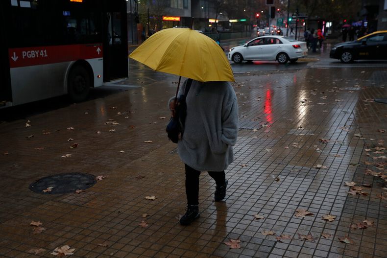 plan invierno en rm poda de arboles labores de limpieza y 48 albergues disponibles.jpg