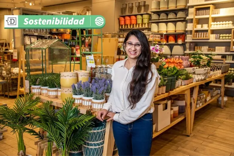 13557 diseno sin titulo 22.webp