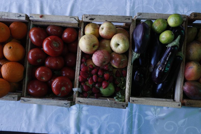 Frutas y verduras en el hogar scaled.jpg