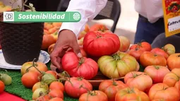 Rescatando tradiciones y agricultura local atacameña: Fiesta del Tomate en Camar contó con más de 2.500 asistentes