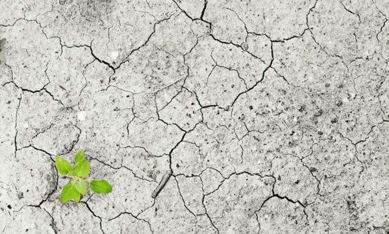 climate change 1325882_1280 580x350 1.jpg