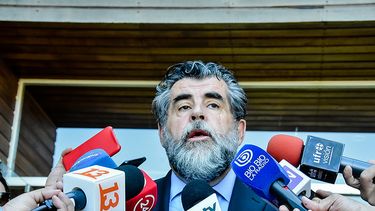 Ministro del Interior (s) Rodrigo Ubilla culpa a la causa mapuche de los incendios forestales en el sur