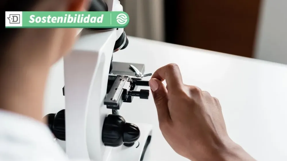 Ciencia e innovación: Científicos chilenos crean tecnología de biocontrol agrícola basada en bacterias nativas