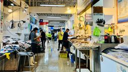 Semana Santa: Pescaderías esperan quintuplicar tonelaje de venta de pescados y mariscos