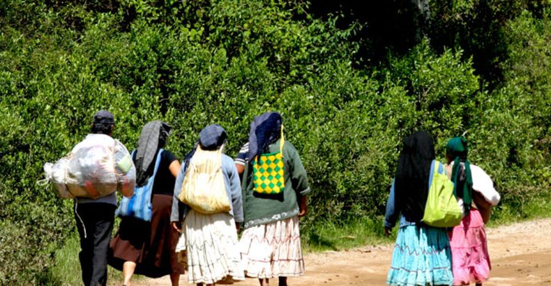 migracion indigena.jpg