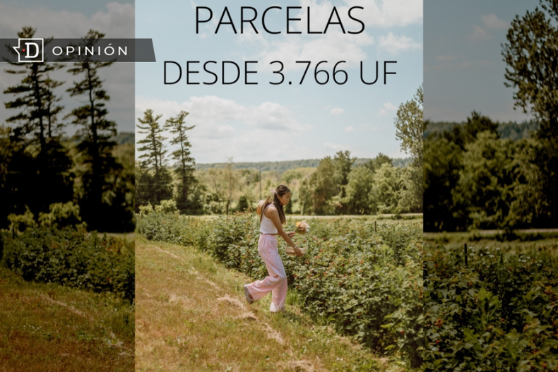 Diseno sin titulo 34.png